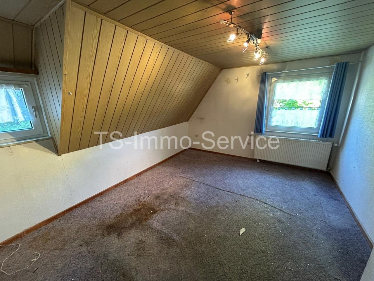 Zimmer DG Zimmer DG